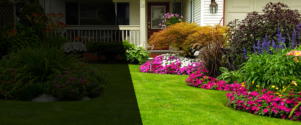 Poland Landscapers