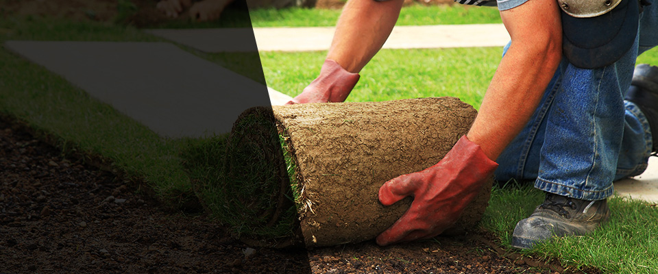 Poland Landscapers